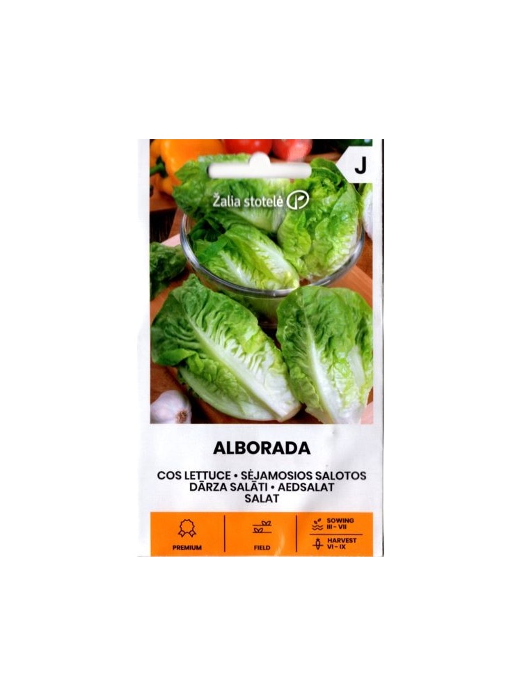 Salotos sėjamosios 'Alborada' 20 sėklų