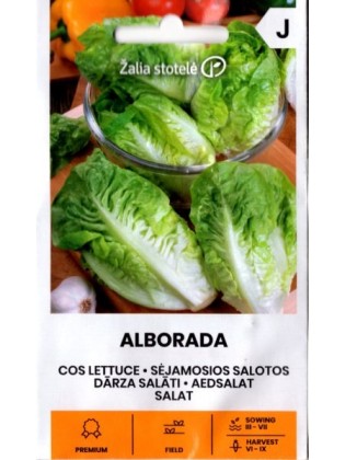 Gartensalat 'Alborada' 20 Samen