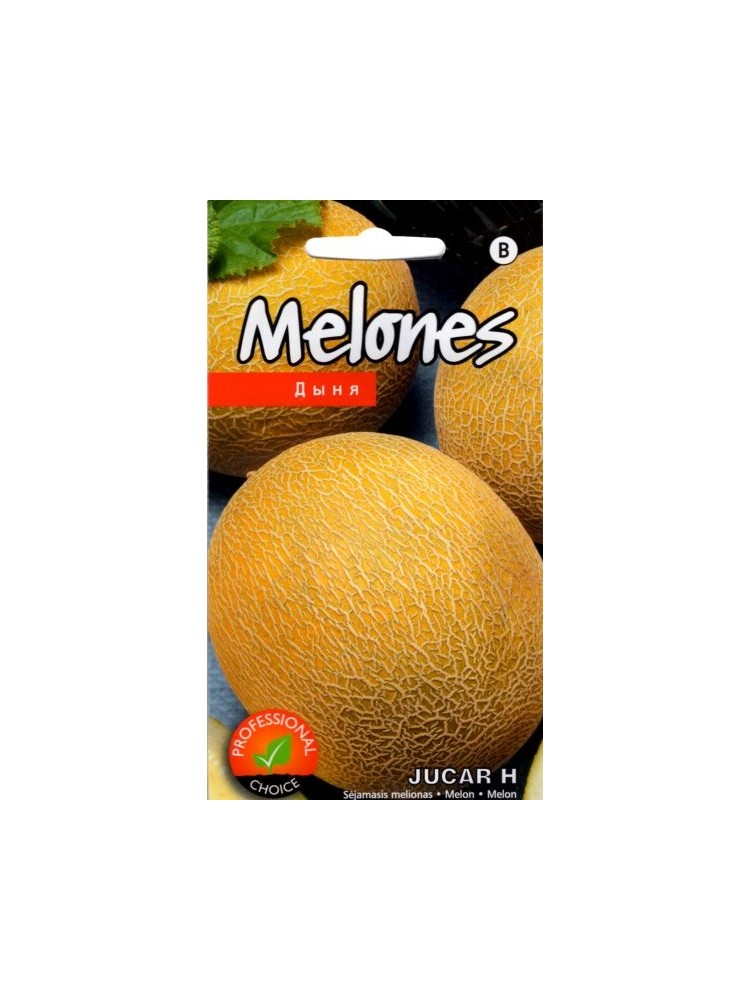Melone 'Jucar' H, 5 Samen