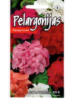 Pelargonijos 'Colorama' F2, 0,2 g