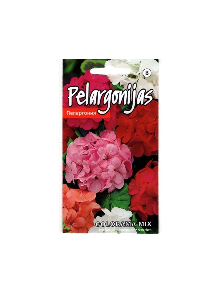 Pelargonijos 'Colorama' F2, 0,2 g