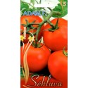 Pomidor zwyczajny 'Adam' H, 15 nasion