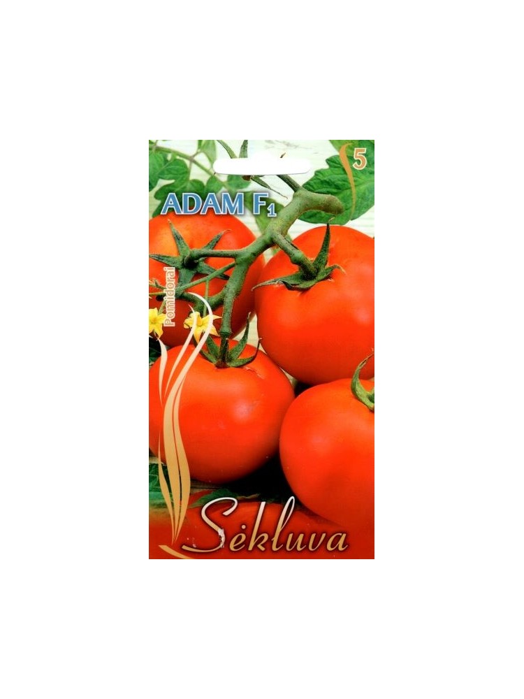 Pomidor zwyczajny 'Adam' H, 15 nasion