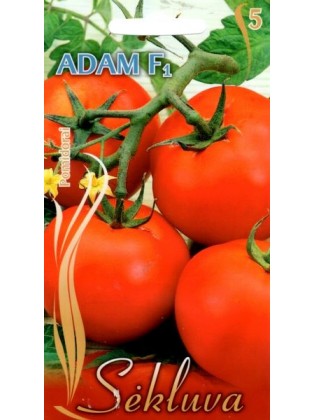 Pomidorai valgomieji 'Adam' H, 15 sėklų