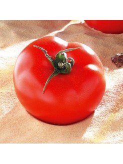 Pomidorai valgomieji 'Brooklyn' H