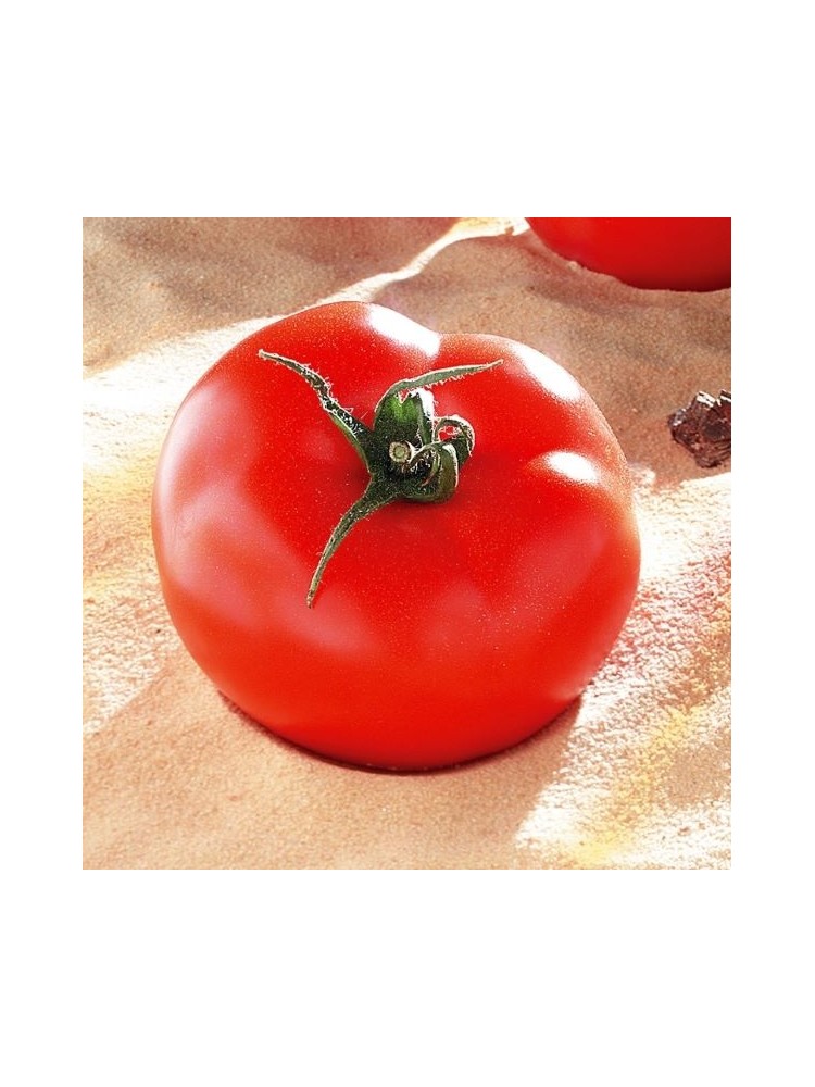 Pomidorai valgomieji 'Brooklyn' H, 100 sėklų