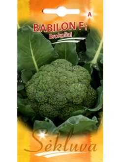 Broccoli 'Babilon' H, 25 seeds