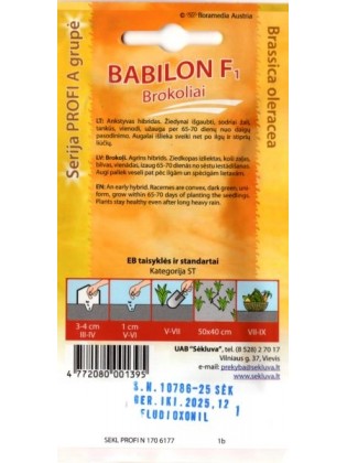 Brokoliai 'Babilon' H, 25 sėklos