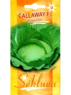 Kopūstai baltagūžiai 'Callaway' H, 25 sėklos