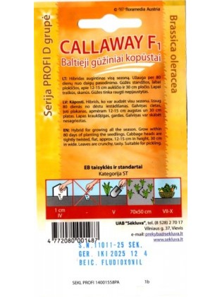 Kopūstai baltagūžiai 'Callaway' H, 25 sėklos