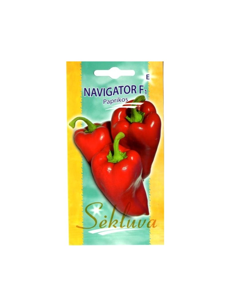 Papryka roczna 'Navigator' H, 10 nasion