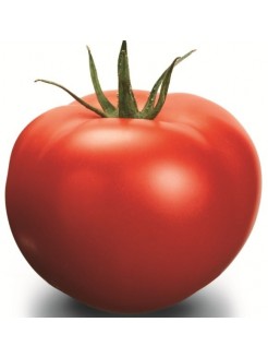 Pomidorai valgomieji 'Delfine' H, 100 sėklų