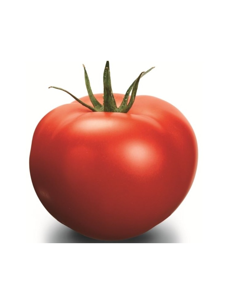 Pomidorai valgomieji 'Delfine' H