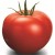 Pomidorai 'Delfine' H, 100 sėklų