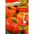 Pomidorai valgomieji 'Buffalosun' H, 10 sėklų