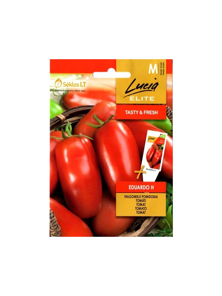 Pomidor zwyczajny 'Eduardo' H, 15 nasion