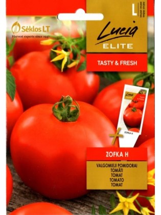 Pomidor 'Zofka' H, 0,1 g