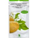 Bulvių sėklos 'Solhy007' F1, 50 nasion