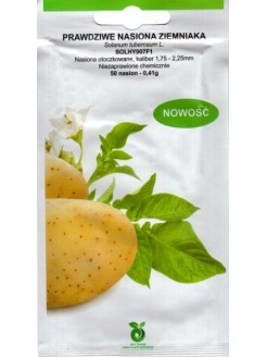 Potato 'Solhy007' F1, 50 seeds
