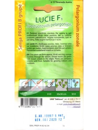 Pelargonijos juostuotosios 'Lucie' H, 5 sėklos