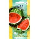 Wassermelone 'Livia' H, 5 Samen