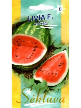 Wassermelone 'Livia' H, 5 Samen