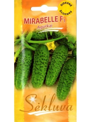 Einlegegurke 'Mirabelle' H, 100 Samen