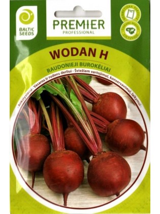 Rote Bete 'Wodan' H, 200 Samen