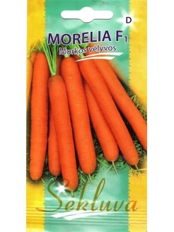 Morkos valgomosios 'Morelia' H, 600 sėklų