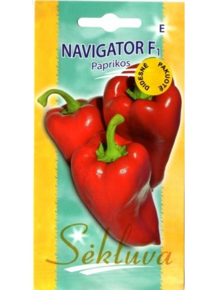 Paprikos vienametės 'Navigator' H, 100 sėklų
