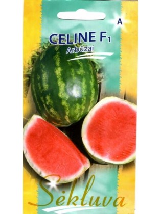 Wassermelone 'Celine' H, 5 Samen
