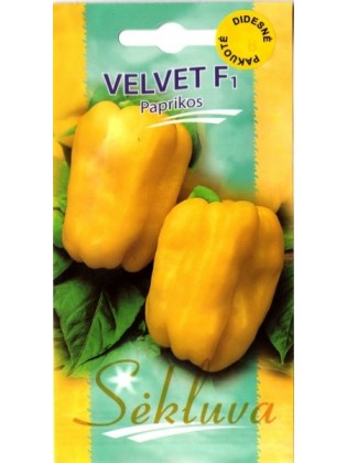 Papryka roczna 'Velvet' H, 100 nasion