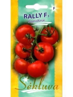 Tomate 'Rally' H, 8 Samen
