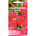 Malwa różowa 'Charter Pink' 0,3 g