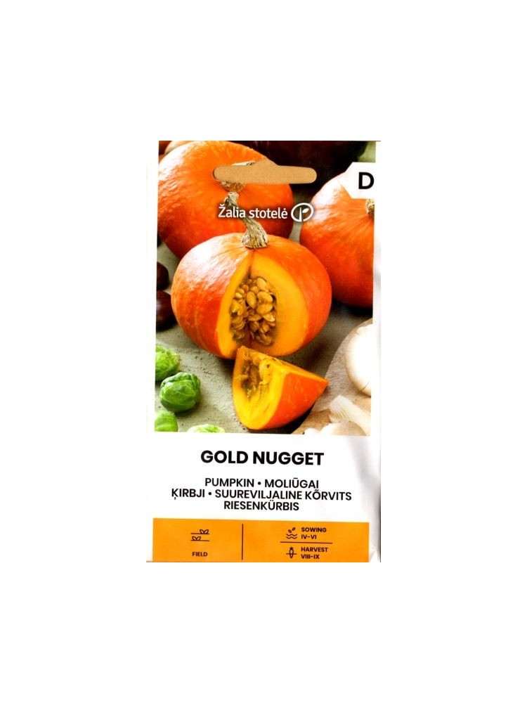 Dynia olbrzymia 'Gold nugget' 1 g