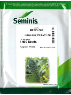 Cetriolo 'Merengue' H, 1000 semi