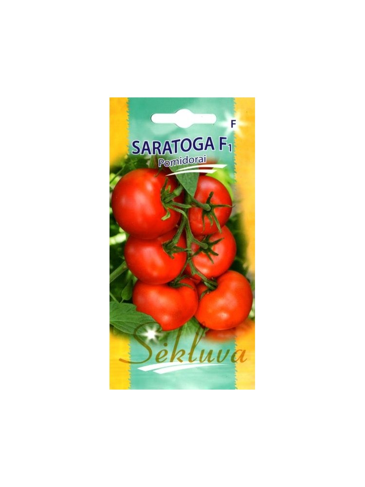 Tomate 'Saratoga' H, 8 Samen