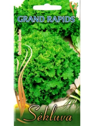 Sałata siewna 'Grand Rapids' 2 g