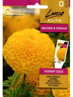 Mexican marigold 'Taishan gold' 20 seeds