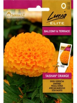 Serenčiai didieji 'Taishan orange' 20 sėklų
