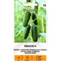 Ogórek siewny 'Gracie' H 0,5 g