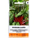 Burak liściowy boćwina 'Rhubarb Chard' 3 g
