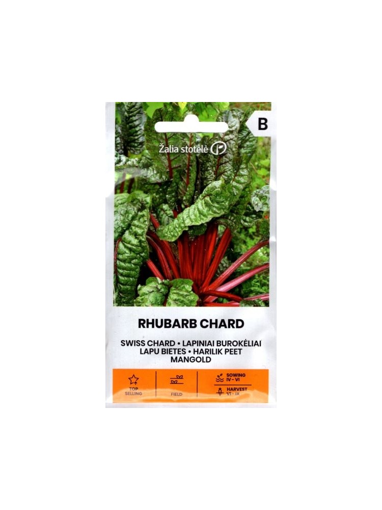 Bietola comune 'Rhubarb Chard' 3 g