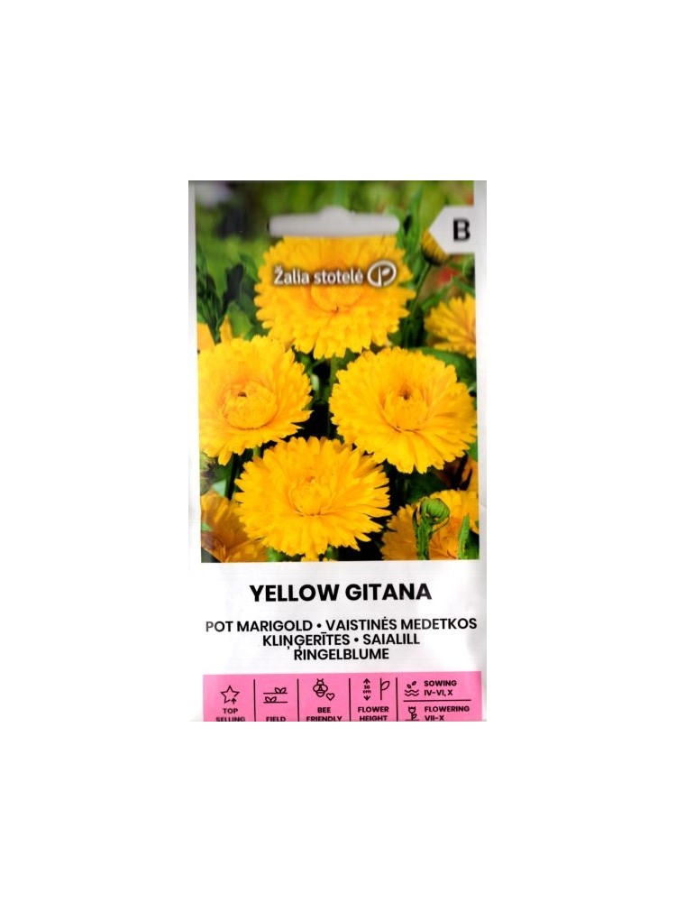 Medetka vaistinė 'Yellow Gitana' 2 g