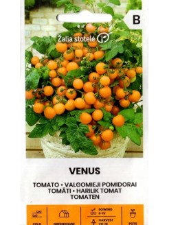 Pomidorai valgomieji 'Venus' 0,1 g