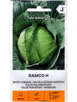 Kopūstai baltagūžiai 'Ramco' H, 0,1 g