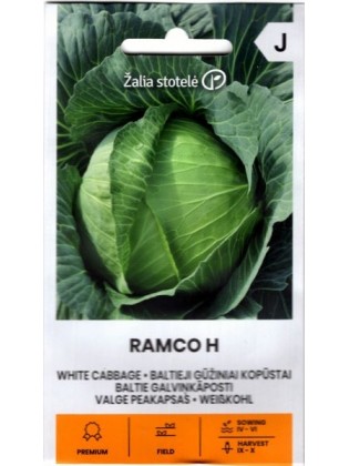 Weißkohl 'Ramco' H, 0,1 g
