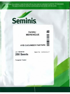 Gurke 'Merengue' H, 250 Samen