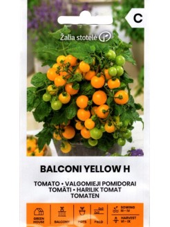 Pomidorai 'Balconi Yellow'...
