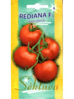 Pomidorai valgomieji 'Rediana' H